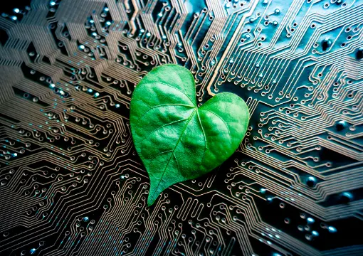 世界杯投注案例